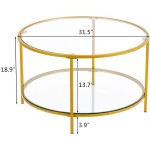 Bonnlo 31.5" Round Coffee Table with Open Storage Shelf,2-Tier Temperred Glass Round Accent Coffee Table with Metal Frame Gold