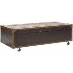 Safavieh Home Zoe Brown Faux Leather Storage Trunk Coffee Table with Wine Rack