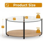 Tangkula Glass Coffee Table 2 Tier Oval Tea Table with Tempered Glass Tabletop and Wooden Shelf Modern Glass Sofa Center Table for Home Office Metal Legs Home Décor Accent Cocktail Table