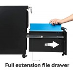 DEVAISE 2-Drawer Mobile File Cabinet with Lock Vertical Filing Cabinet Black