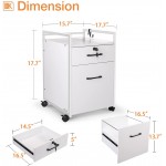 ODK File Cabinet with 2 Drawers Mobile Office Cabinet with Lock on Wheels Rolling Office Printer Stand Filing Cabinet for A4 Letter Sized Document with Iron Hook White