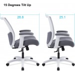 BOLISS Ergonomic Office Computer Desk Chair with Flip Arms Waist Support Function,500 lbs Grey