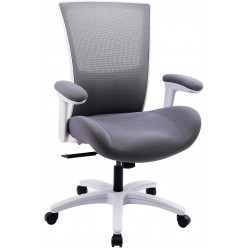 BOLISS Ergonomic Office Computer Desk Chair with Flip Arms Waist Support Function,500 lbs Grey