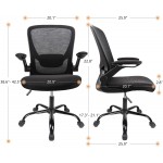 Ergousit Ergonomic Home Office Chair Mesh Office Chair Flip Up Arms with Lumbar Support Adjustable Comfortable Computer Desk Chair Ergonomic 250Lbs Capacity Black