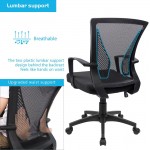 Furmax Office Chair Mid Back Swivel Lumbar Support Desk Chair Computer Ergonomic Mesh Chair with Armrest Black