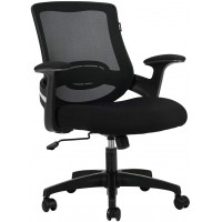 Hbada Desk Office Computer Chair Chair with Lumbar Support Height Adjustable Black
