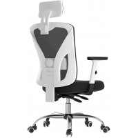 Hbada Ergonomic Office Desk Chair with Adjustable Armrest Lumbar Support Headrest and Breathable Skin-Friendly Mesh White