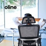 Oline ErgoMax Ergonomic Office Chair Rolling Home Desk Chair with 4D Adjustable Flip Armrests 3D Adjustable Lumbar Support and Blade Wheels Mesh Computer Executive Swivel Gaming Chair Black