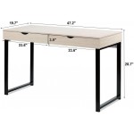 Industrial Computer Desk Writing Study Table with 2 Drawers,Notebook PC Workstation,Wood Desktop Black Steel Frame for Home,Office