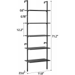 APICIZON 5 Tier Ladder Shelf Industrial Wall Shelf with Wood Shelves and Stable Metal Frame Open Wall Mount Bookcases Display Shelves Plant Flower Rack for Home Office Balcony Bathroom Black