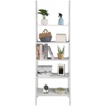 C SS CC Ladder Shelf 5-Tier Multifunctional Modern Wood Plant Flower Book Display Shelf Home Office Storage Rack Leaning Ladder Wall Shelf White