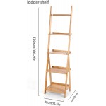 HYNAWIN Corner Ladder Shelf Storage Shelving 5 Tier Books CDs Albums Files Holder in Living Room Home Office,Simple Assembly