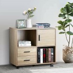 Hallway Entryway Closet Storage Stand Modern Home Storage Shelves Office Cabinets with 2 Drawers Wood File Cabinet