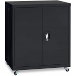 Metal Storage Cabinets with Wheels,Storage Cabinet with Lock and 1 Adjustable Shelf,Steel Locking Cabinet for Office,Home,Garage,Classroom,Black