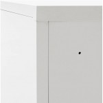 Office Cabinet with Sliding Doors Metal,Metal Storage Cabinet Lockable Doors,Great Steel Locker for Garage Kitchen Pantry Office and Laundry Room,35.4"x15.7"x35.4"