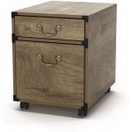 SogesGame 2-Drawer Rolling File Cabinet with Locking Wheels,Bedside Table with Storage Wood Cabinet for Bedroom Home Office Farmhouse