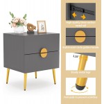 Tribesigns Nightstands Set of 2 Mid-Century Modern Nightstand with 2 Drawers Bedside Tables with Champagne Metal Legs End Table for Bedroom Dark Grey 2pcs
