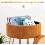 Round Vanity Stool Chair Brown Vanity Chair Stool for Makeup Room 18” High Faux Teddy Fur  Stool for Vanity with Gold Legs Makeup Storage Stool for Bedroom Modern Vanity Stool with Storage