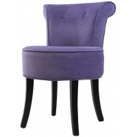 Vanity Chair Makeup Chair European-Style Dressing Stool Makeup Chair Backrest Stool Modern Bedroom Dresser Stool Vanity Benches Color : Purple Size : 735346cm
