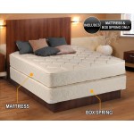 Comfort Classic Gentle Firm Full XL 54"x80"x9" Mattress and Box Spring Set Fully Assembled Orthopedic Good for Your Back Long Lasting and 2 Sided by Dream Solutions USA