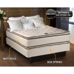 DS USA Coil Comfort Pillow Top Mattress and Box Spring Set 2-Sided Sleep System with Enhanced Cushion Support Fully Assembled Orthopedic Type Longlasting Comfort Twin 39"x75"x11"