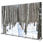 Canvas Room Divider Screen Black and White Birch Trees with Birch bark in Winter on Snow 6 Panel Office Wooden Folding Screen Deco Canvas Privacy Partition Wall Divider for Rooms
