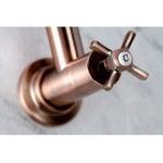 3.8 GPM 1 Hole Wall Mounted Nickel DF-1-SD2732 Faucets Toilets Sinks Turn Valves and Much More!