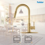 Tohlar Gold Kitchen Faucets with Pull-Down Sprayer Modern Kitchen Sink Faucet Stainless Steel Single Handle Kitchen Faucet with Deck Plate Brushed Gold