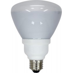 GE Lighting 80893 Energy Smart CFL 15-Watt 65-watt replacement 750-Lumen R30 Floodlight Bulb with Medium Base 1-Pack