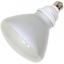 Westinghouse 3797900 23 Watt CFL Light Bulb 75W Equal 2700K Soft White 80 CRI 1300 Lumen