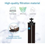 AQUA CREST Water Filter Replacement for BB9-2 Black Purification Elements and Gravity Filter System Pack of 2