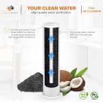 Aquaboon Coconut Shell Water Filter Cartridge | Activated Carbon Block CTO | Universal Whole House 5 Micron 20 inch Cartridge | Compatible with EPM-20 CB-20 155783-43 FC25B 2-PACK
