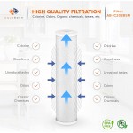 Aquaboon Coconut Shell Water Filter Cartridge | Activated Carbon Block CTO | Universal Whole House 5 Micron 20 inch Cartridge | Compatible with EPM-20 CB-20 155783-43 FC25B 2-PACK