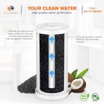 Aquaboon Coconut Shell Water Filter Cartridge | Activated Carbon Block CTO | Universal Whole House 5 Micron 10 inch Cartridge | Compatible with WFHDC8001 CB-10 EPM EP 2-PACK