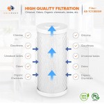 Aquaboon Coconut Shell Water Filter Cartridge | Activated Carbon Block CTO | Universal Whole House 5 Micron 10 inch Cartridge | Compatible with WFHDC8001 CB-10 EPM EP 2-PACK