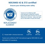 AQUACREST FQSVF Under Sink Water Filter Replacement for GE FQSVF FQSLF GXSV65R NSF 42 Certified 1 Set