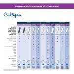 Culligan RC 1 EZ-Change Basic Water Filtration Replacement Cartridge 3,000 Gallons Multi