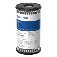 Pentair Pentek C2 Carbon Water Filter 5-Inch Under Sink Dual Purpose Powdered Activated Carbon-Impregnated Cellulose Replacement Cartridge 5" x 2.5" 5 Micron