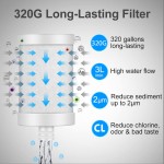 WINGSOL Faucet Water Filter 320 Gallons Long-lasting & High-flow NSF ANSI 42 304 Stainless Steel One-piece Housing Reduce Contaminants & Improve Taste 2µm Filtration Faucet Filter -1 Filter Included