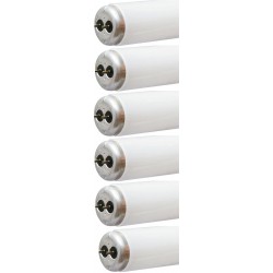 Current Professional Lighting F20T12 CW ECO6PK Linear Fluorescent T12 24 pack