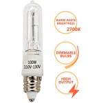 JD E11 120V 100 Watt Halogen Bulbs,Mini Candelabra Bulbs for House Lighting Fixtures,Ceiling Lamps,Table Lamps,Cabinet Lighting4 Pack