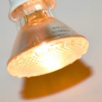 PAR20 50 Watt E26 Medium Base Halogen Flood Light Bulbs,Dimmable Bulbs for Range Hood Lights,Ceiling Fan,Table Light