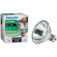 Philips 421123 53-watt PAR30S Dimmable Halogen Spot Light Light Bulb