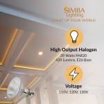 Simba Lighting Halogen PAR20 Light Bulb 39W 39PAR20 FL 30deg Spotlight Dimmable 6-Pack for Indoor Recessed Can Range Hood and Outdoor PAR 20 120V E26 Base 50W Replacement 2700K Warm White