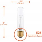 25 Watt T10 Clear Tubular Incandescent Light Bulb 2700K Soft White E26 Medium Base 160 Lumens 120V 4 Pack