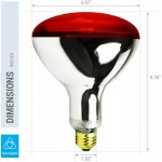 250R40 1 250-Watt Incandescent R40 Reflector Head Lamp Heat Flood Lamp Light Bulb E26 Standard Medium Screw Base 120V 6,000 Hour Rated Red