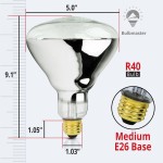 Bulbmaster 250 Watts R40 Clear Heat lamp Light Bulbs Infrared Flood Incandescent 250R40 CL Heat lamp for Dogs Pets Medium E26 Base 2 Pack