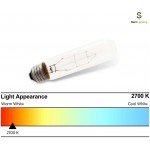 Sterl Lighting SL-0071 25 Watts T10 E26 Standard Medium Base 120V 25W 4.92 inch 154Lm Clear Tubular String Incandescent Light Bulb Picture Lamps to Display Art 2700K Warm White Clear 6 Pack