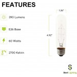 Sterl Lighting – SL--0132 60 Watts T10 E26 Standard Medium Base 120V 60W 4.92 inch 390Lm Clear Tubular String Incandescent Light Bulb Picture Lamps to Display Art 2700K Warm White Clear 6 Pack