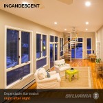 SYLVANIA Incandescent 65W BR30 Flood Light Bulb 540 Lumens E26 Medium Base Dimmable 2850K Warm White Frosted 6 Pack 15172